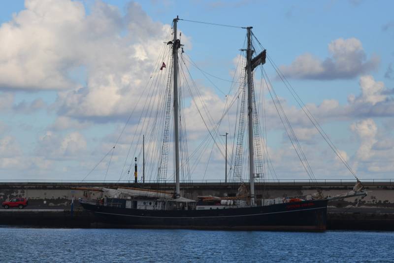 Wylde Swan